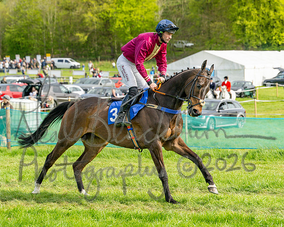 Race 6 - Conditions [level 2] 9YO and older (54 of 135)
