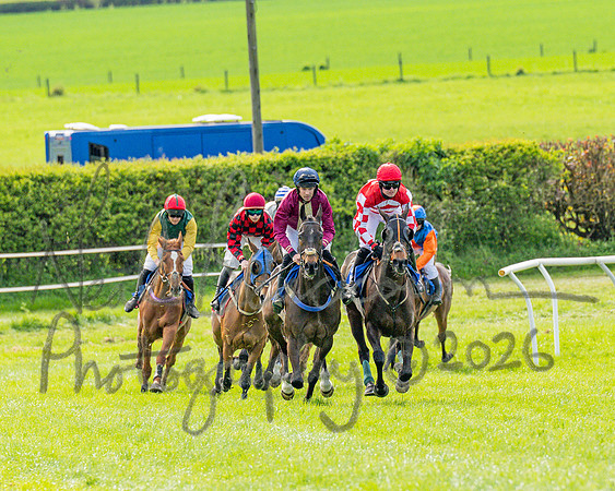 Race 6 - Conditions [level 2] 9YO and older (59 of 135)