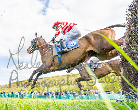 Race 6 - Conditions [level 2] 9YO and older (62 of 135)