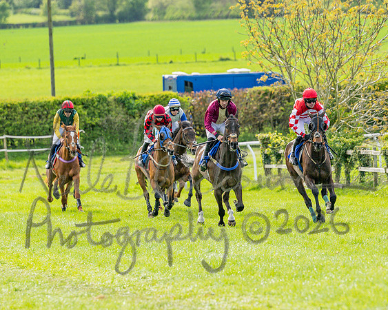 Race 6 - Conditions [level 2] 9YO and older (61 of 135)