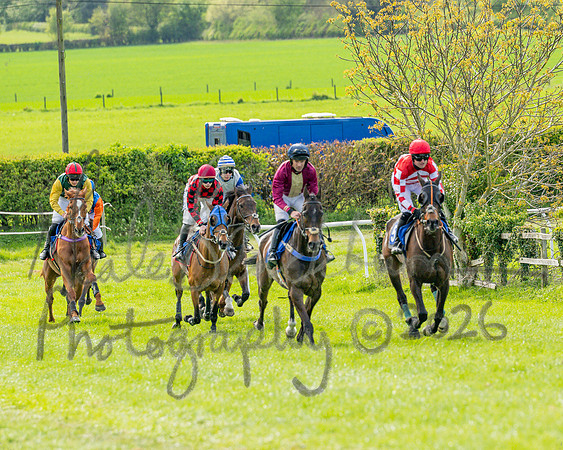 Race 6 - Conditions [level 2] 9YO and older (60 of 135)