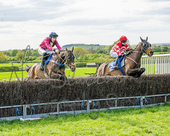 Race 6 - Conditions [level 2] 9YO and older (64 of 135)