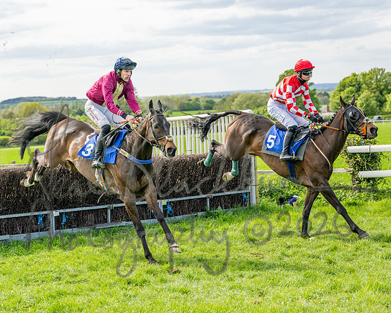Race 6 - Conditions [level 2] 9YO and older (67 of 135)