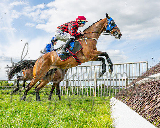 Race 6 - Conditions [level 2] 9YO and older (68 of 135)