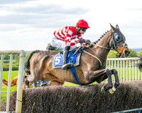 Race 6 - Veteran Horse