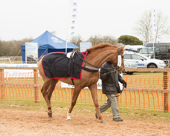 Merrydown Vintage - Phil York (34 of 57)
