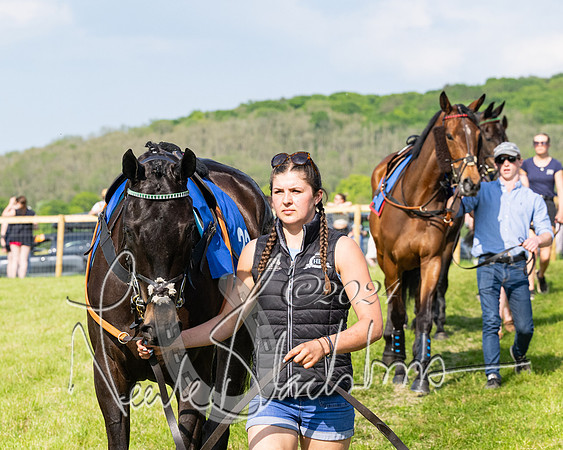 Race 5  - Maiden race 2m5F Div-2 (25 of 205)