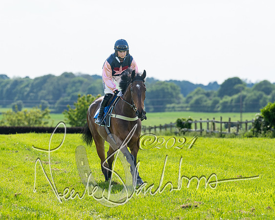 Race 5  - Maiden race 2m5F Div-1 (46 of 197)
