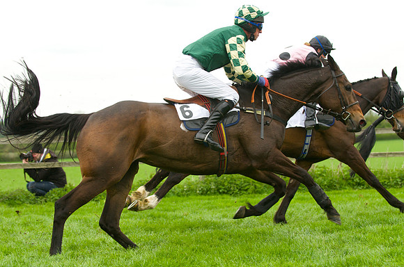 Race 4 - Nov-vets 41