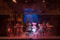 CInderella (6 of 570)