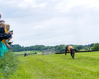 Race 7 - Hound Race etc (68 of 108)