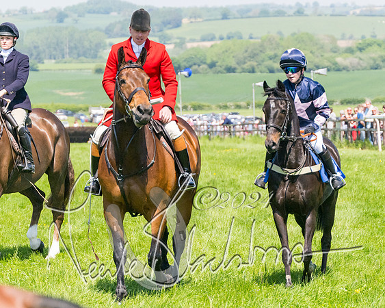 Pony Races  (28 of 141)