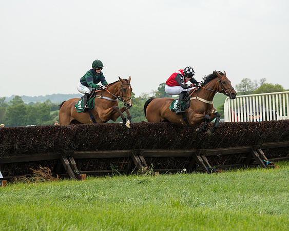 Race 1 - Hunt Members (46 of 132)