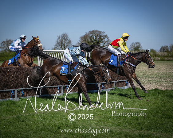 Race 2 - The Maiden (57 of 118)