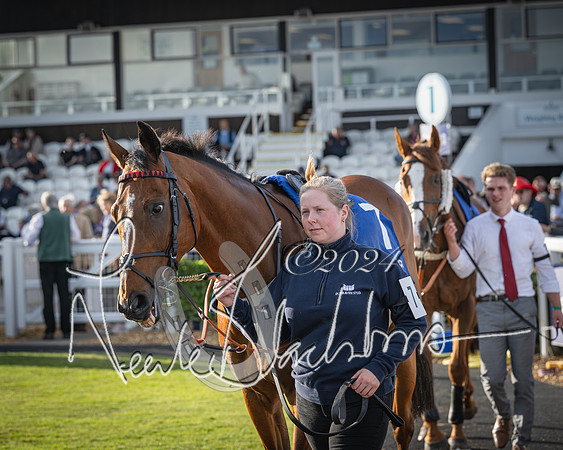 Race 4 - Peretemps Stratford Foxhunters (21 of 168)