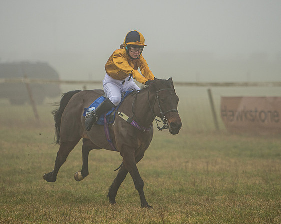 Pony Race 1  (50 of 98)
