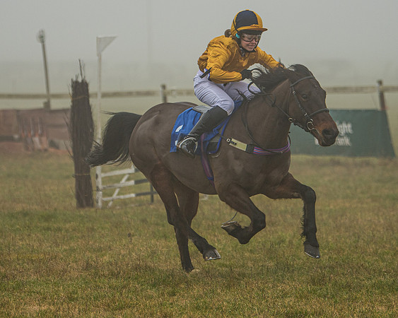 Pony Race 1  (54 of 98)