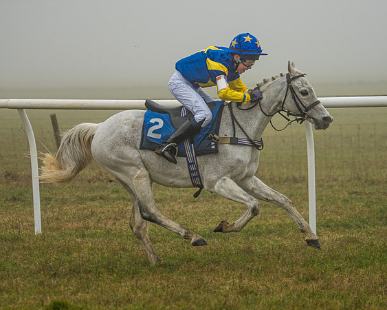 Pony Race 1  (72 of 98)