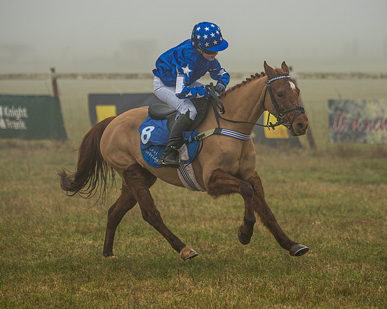 Pony Race 1  (82 of 98)