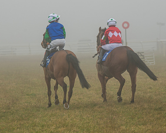 Pony Race 2  (6 of 78)
