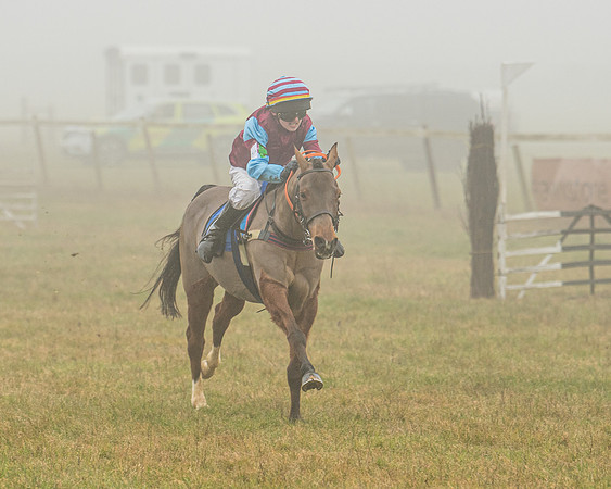 Pony Race 2  (43 of 78)