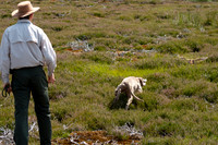 WCGB-27JUL-2013 Grouse Test Day  6