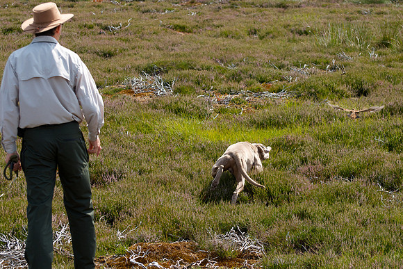 WCGB-27JUL-2013 Grouse Test Day  6