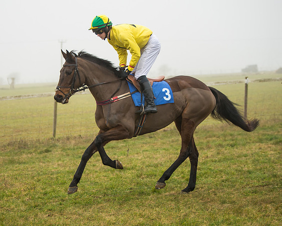 Race 1 - Hunt Members (9 of 74)