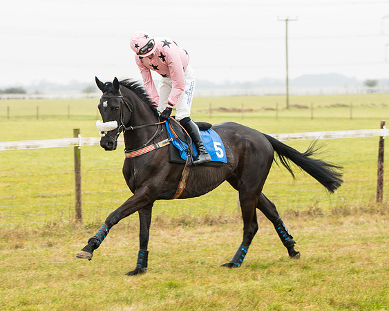 Race 2 - Restricted  (8 of 111)