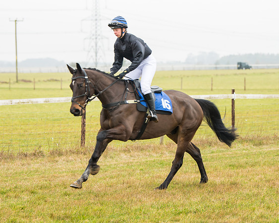 Race 2 - Restricted  (14 of 111)