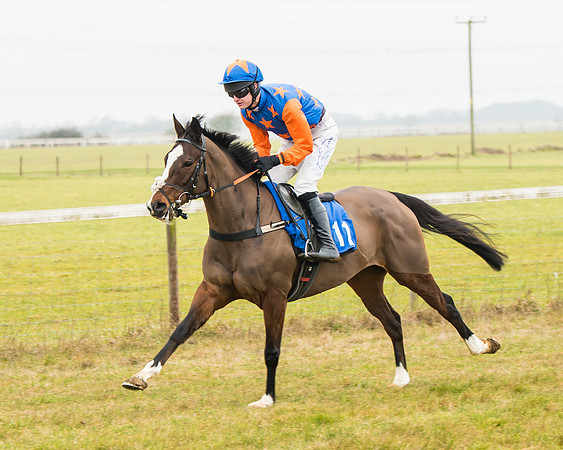 Race 2 - Restricted  (17 of 111)
