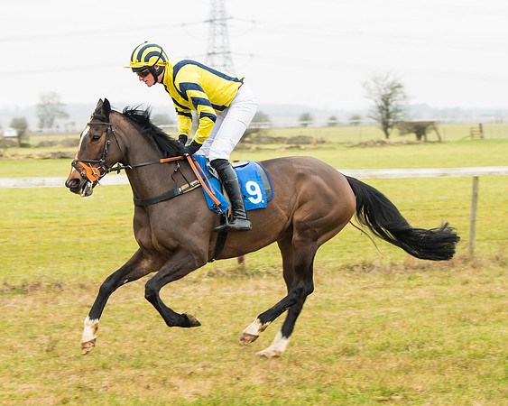 Race 2 - Restricted  (18 of 111)