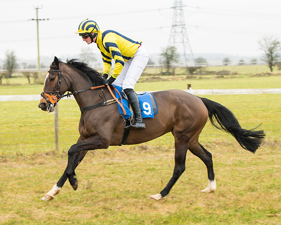 Race 2 - Restricted  (19 of 111)