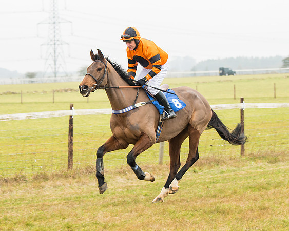 Race 2 - Restricted  (21 of 111)