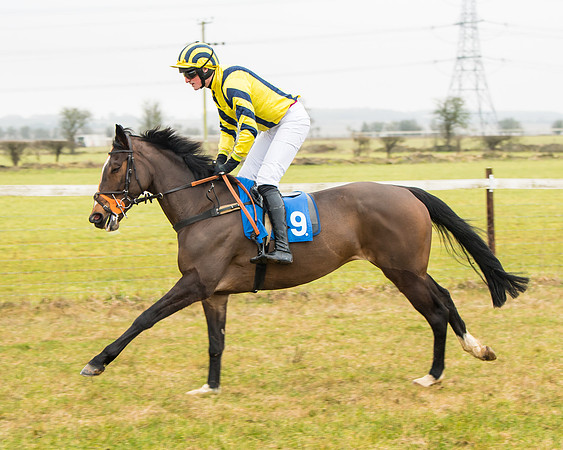 Race 2 - Restricted  (20 of 111)