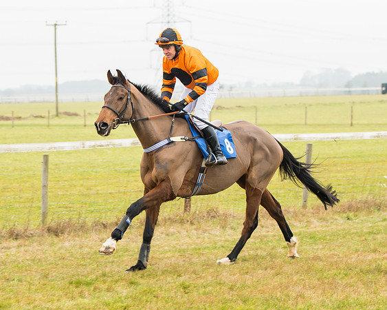 Race 2 - Restricted  (22 of 111)