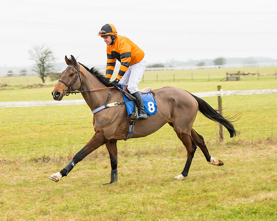 Race 2 - Restricted  (23 of 111)
