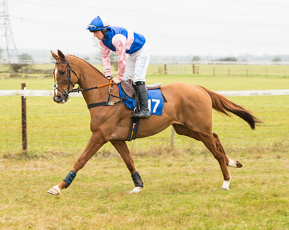 Race 2 - Restricted  (25 of 111)