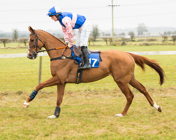 Race 2 - Restricted  (26 of 111)