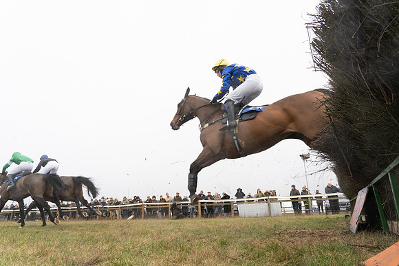 Race 2 - Restricted  (44 of 111)