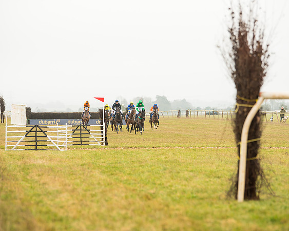 Race 2 - Restricted  (46 of 111)
