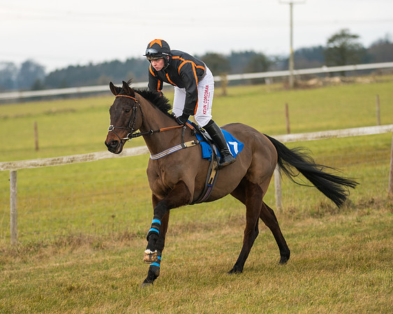 Race 3 - Novice Riders (16 of 194)