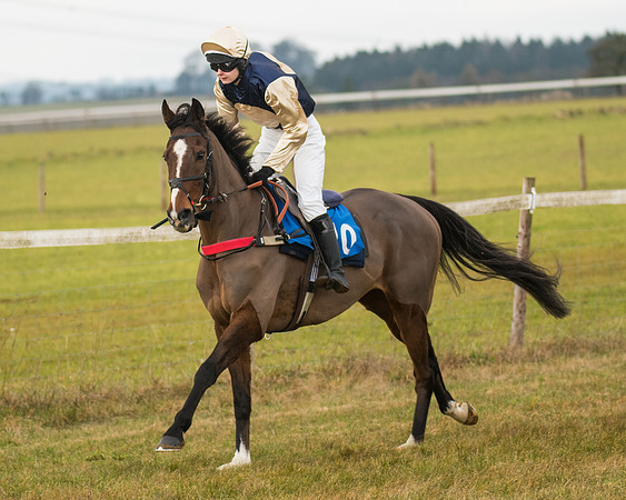 Race 3 - Novice Riders (27 of 194)