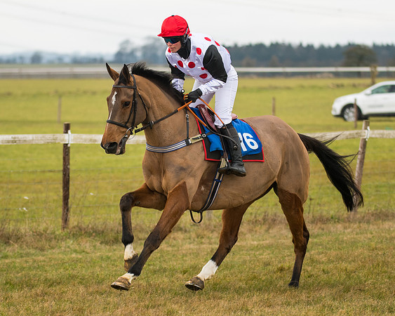 Race 3 - Novice Riders (39 of 194)