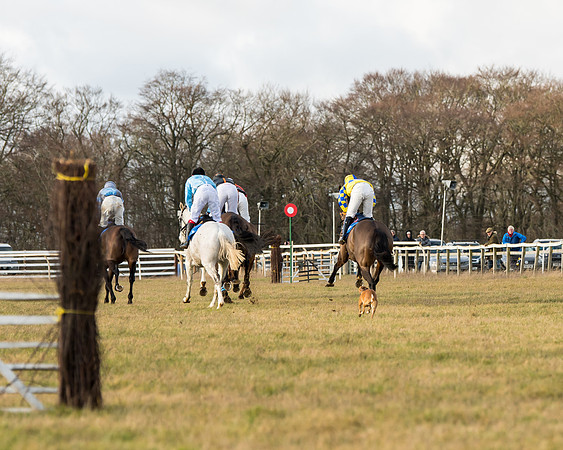 Race 5 - Mens Open  (46 of 116)
