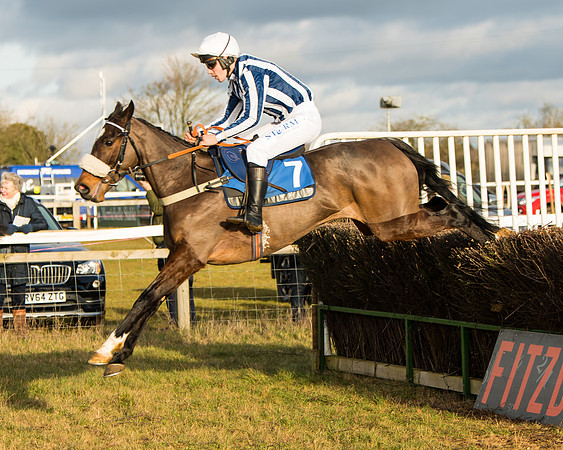 Race 6 - 4,5,6 Maiden  (9 of 50)