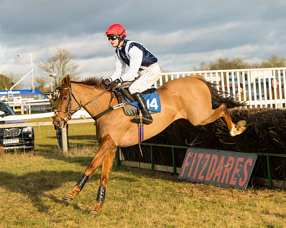 Race 6 - 4,5,6 Maiden  (13 of 50)
