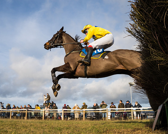 Race 6 - 4,5,6 Maiden  (17 of 50)