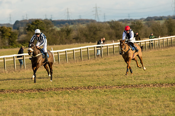 Race 6 - 4,5,6 Maiden  (20 of 50)