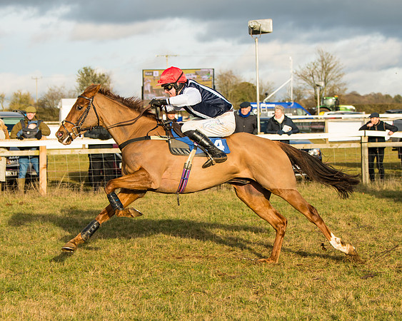 Race 6 - 4,5,6 Maiden  (27 of 50)